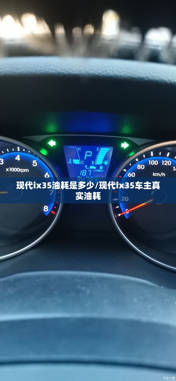 推荐一款“海底乐园有挂吗”详细辅助教程分享