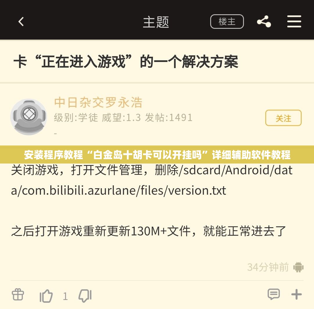 安装程序教程“白金岛十胡卡可以开挂吗	”详细辅助软件教程