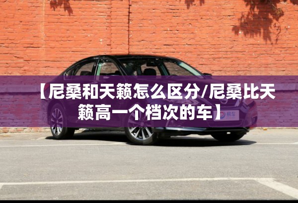 【尼桑和天籁怎么区分/尼桑比天籁高一个档次的车】
