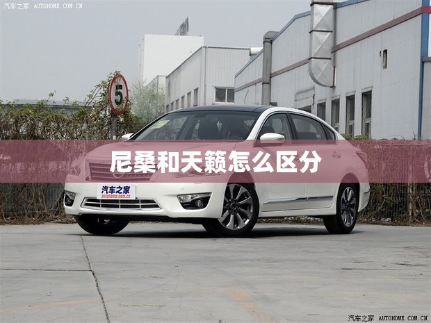 【尼桑和天籁怎么区分/尼桑比天籁高一个档次的车】