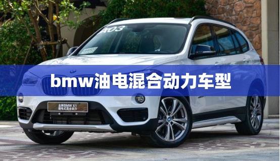 bmw油电混合动力车型