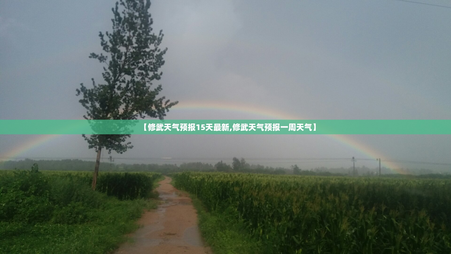 安装程序教程“白金岛十胡卡可以开挂吗”详细辅助软件教程