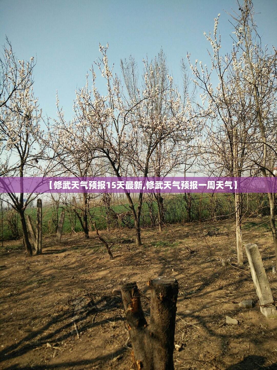 【修武天气预报15天最新,修武天气预报一周天气】