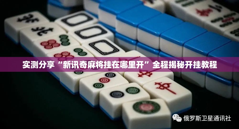 安装程序教程“白金岛十胡卡可以开挂吗”详细辅助软件教程