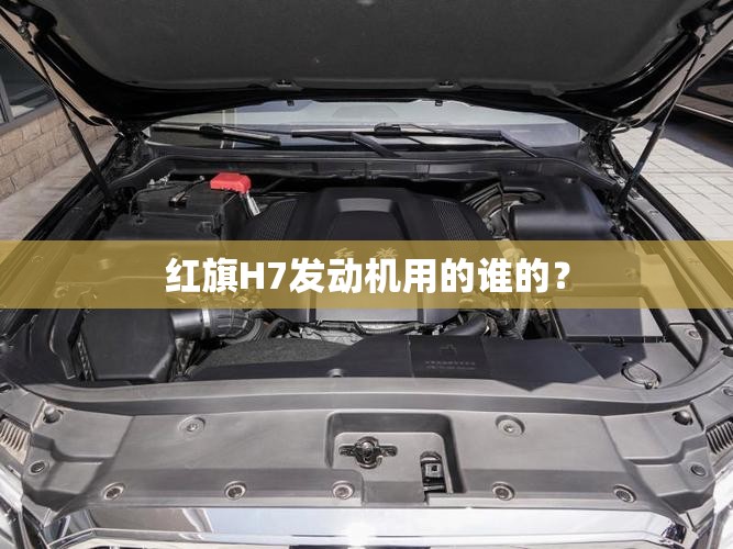 安装程序教程“乐总统有没有挂”2026开挂教程步骤