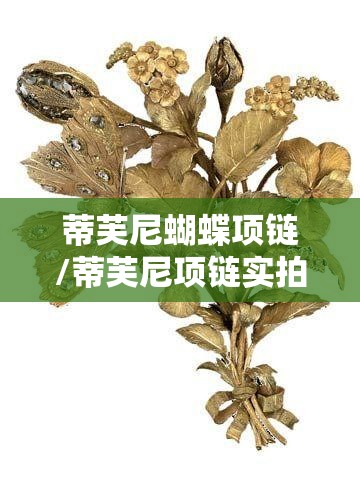 蒂芙尼蝴蝶项链/蒂芙尼项链实拍