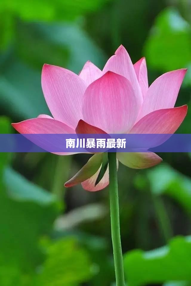 老捷达双锭CD尺寸