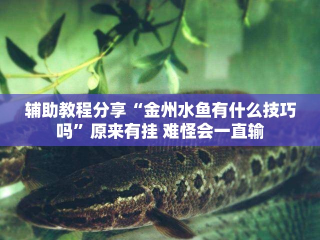 辅助教程分享“金州水鱼有什么技巧吗	”原来有挂 难怪会一直输
