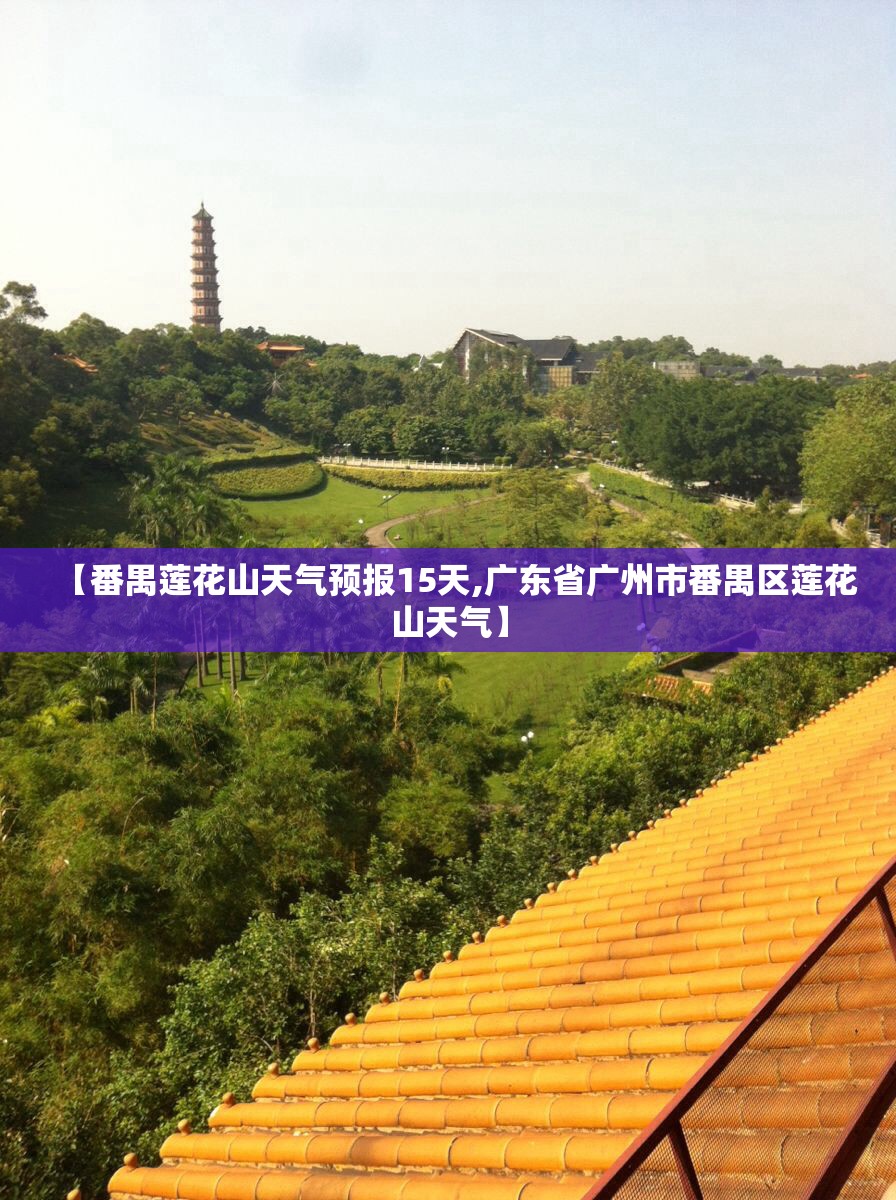 福建福彩网（福建福彩网下载）
