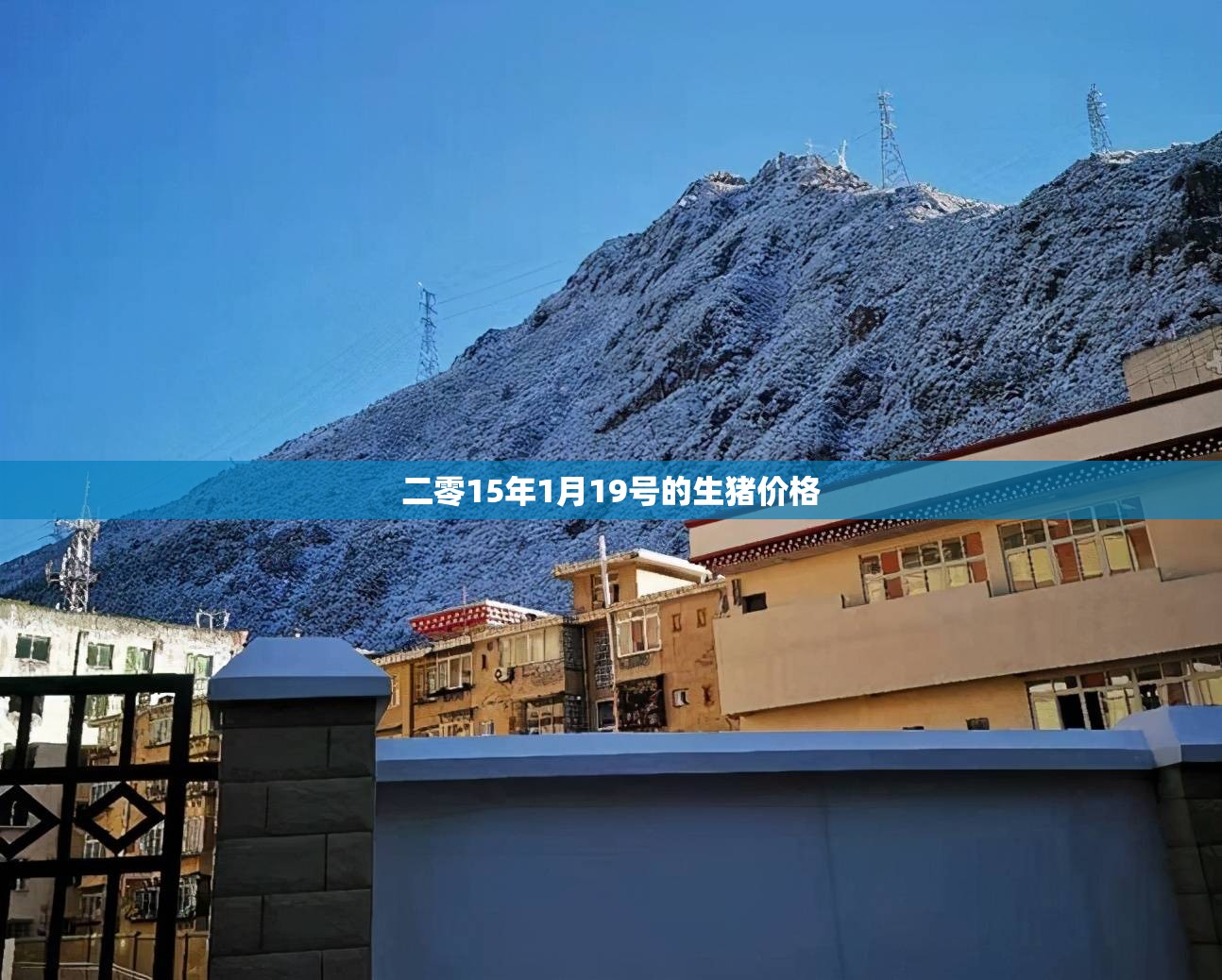 衡水未来一周天气预报_2