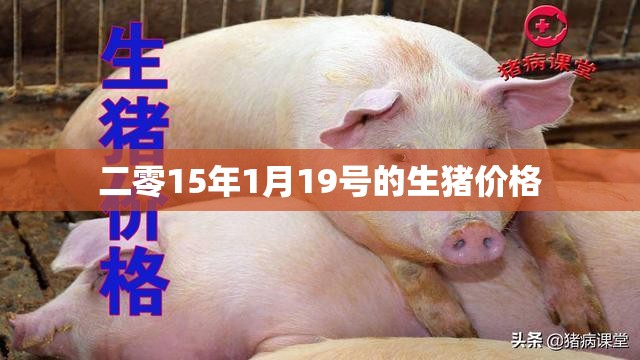 二零15年1月19号的生猪价格