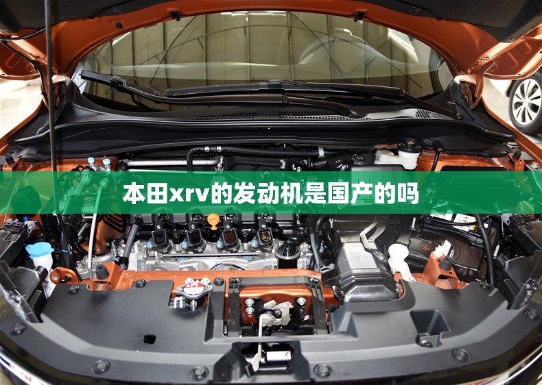 辅助最新信息“白金岛跑胡子字牌”详细分享装挂步骤