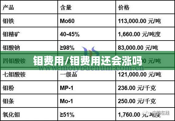 钼费用/钼费用还会涨吗