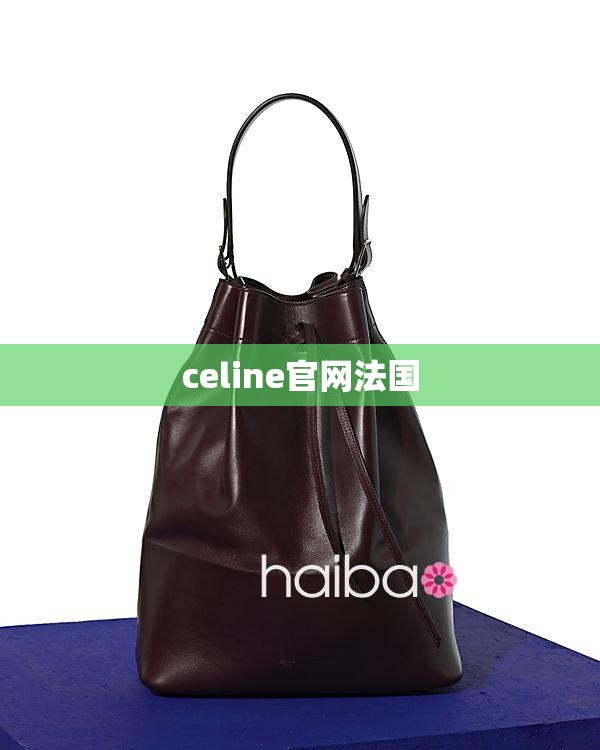 celine官方网站法国,法国celine专柜打折