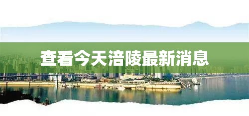 液压软管,液压软管接头