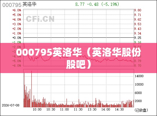 000795英洛华（英洛华股份股吧）