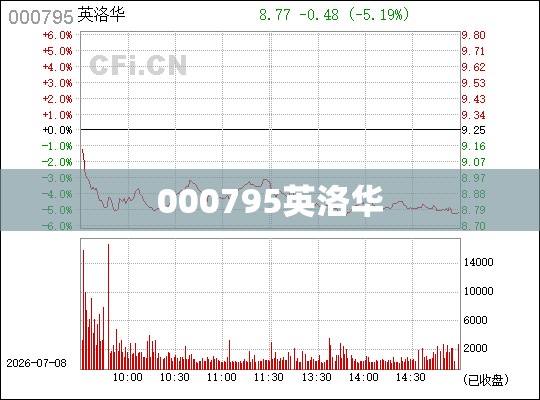 000795英洛华（英洛华股份股吧）