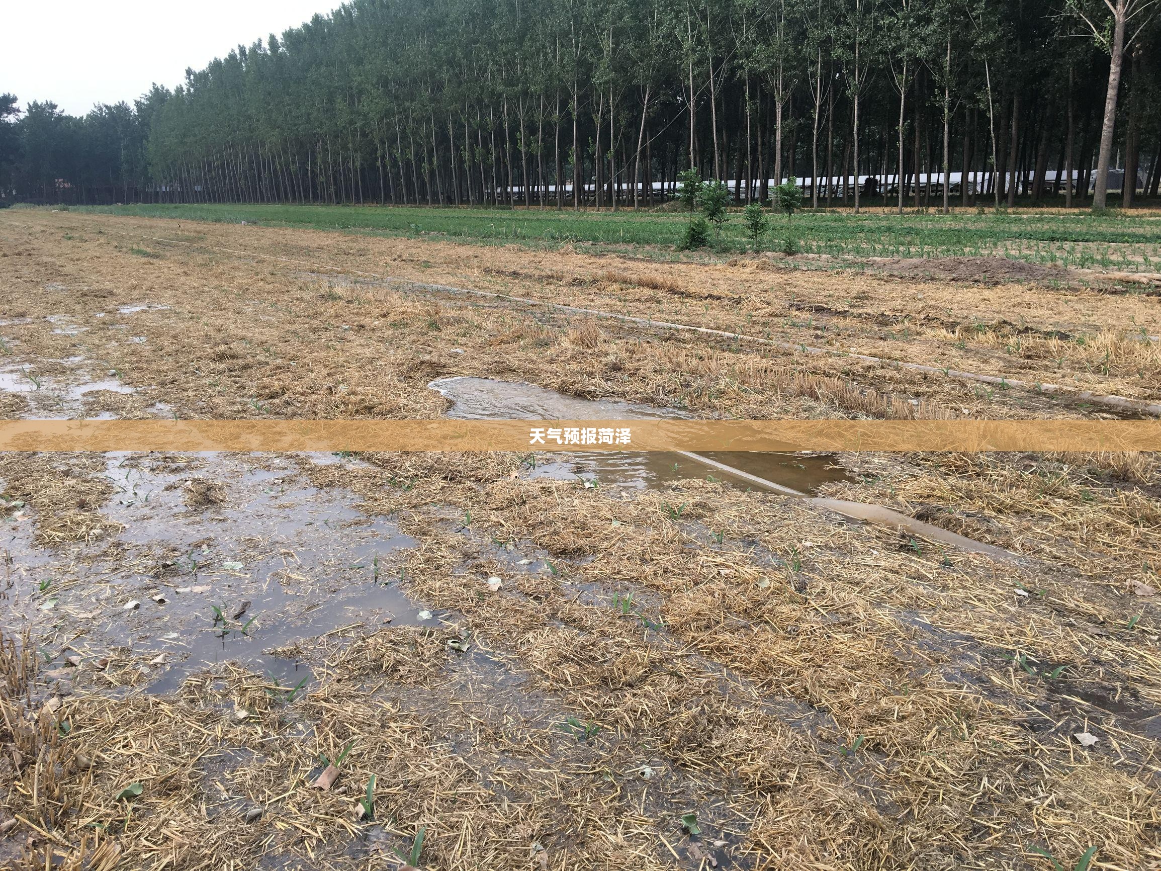 江铃福特和长安福特的区别