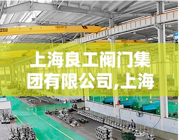 上海良工阀门集团有限公司,上海良工阀门集团有限公司董事长