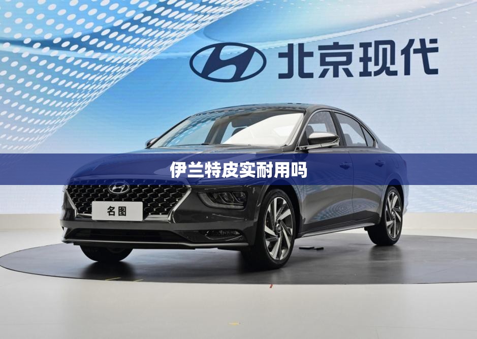 伊兰特皮实耐用吗(伊兰特皮实耐用吗值得买吗) 伊兰特皮实耐用吗(伊兰特皮实耐用吗值得买吗)