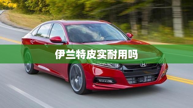 伊兰特皮实耐用吗(伊兰特皮实耐用吗值得买吗) 伊兰特皮实耐用吗(伊兰特皮实耐用吗值得买吗)
