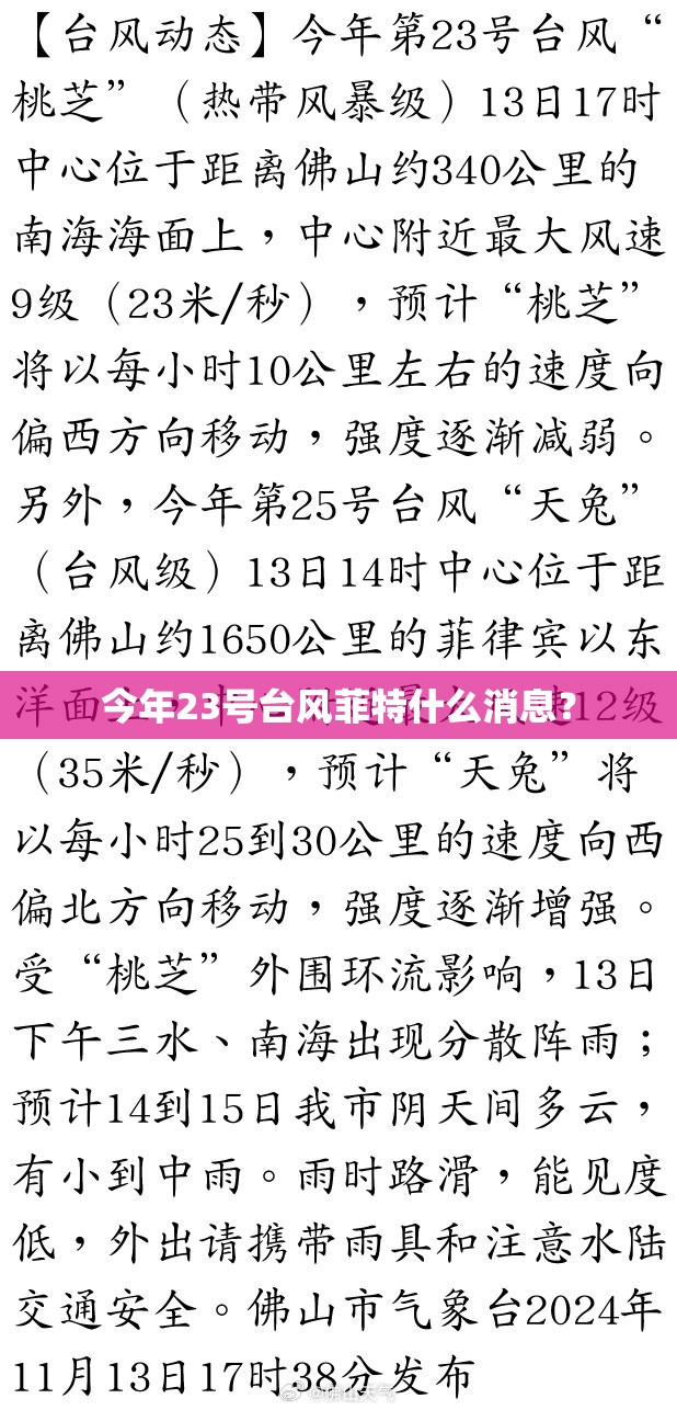 今年23号台风菲特什么消息？