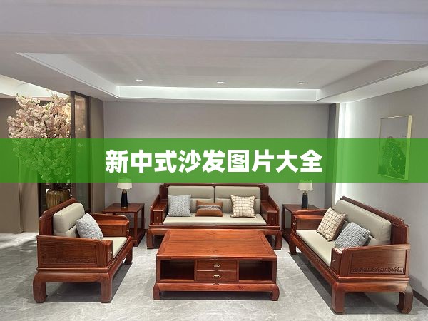 新中式沙发图片大全（木质沙发图片大全 客厅）