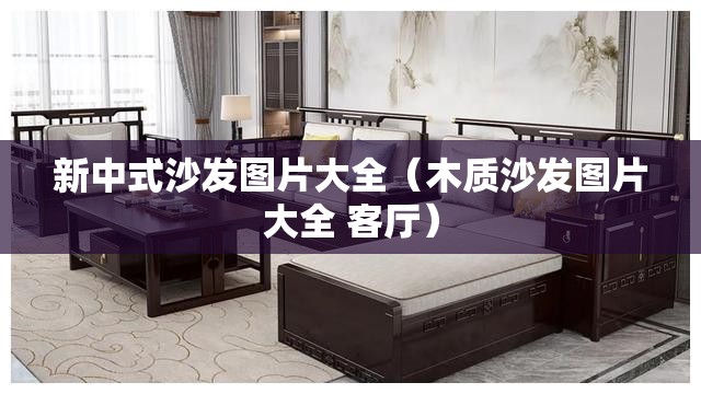 新中式沙发图片大全（木质沙发图片大全 客厅）