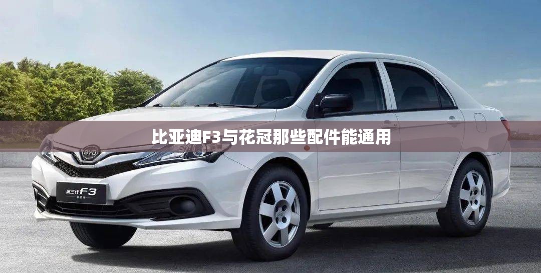 滑板,滑板游戏