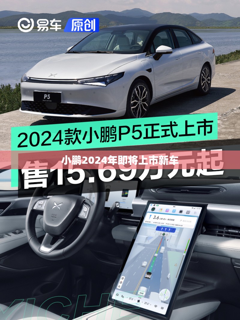 剃光头可以生发吗/剃光头可以增多头发吗