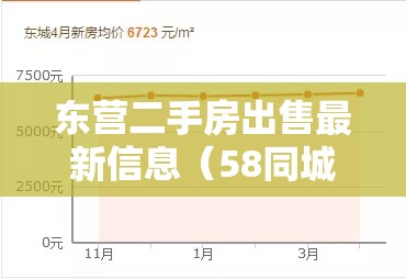 东营二手房出售最新信息（58同城二手房个人出售）
