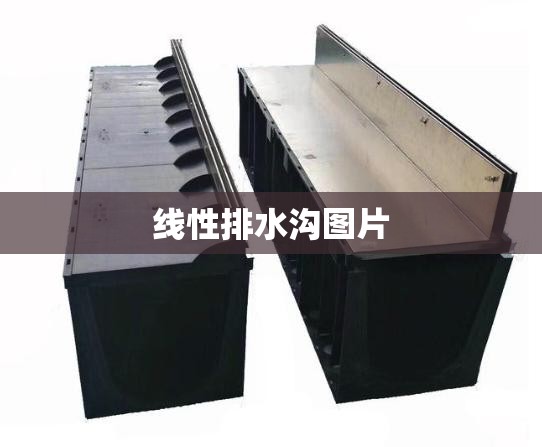 天气预报那个准?排名第一?,天气预报最准是哪个