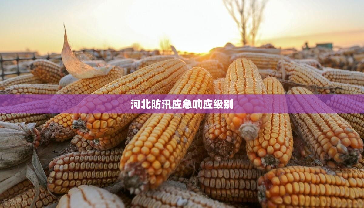 玩家辅助神器:“wepoker究竟到底有没有透视”开挂辅助透视教程