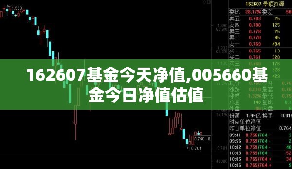 162607基金今天净值,005660基金今日净值估值