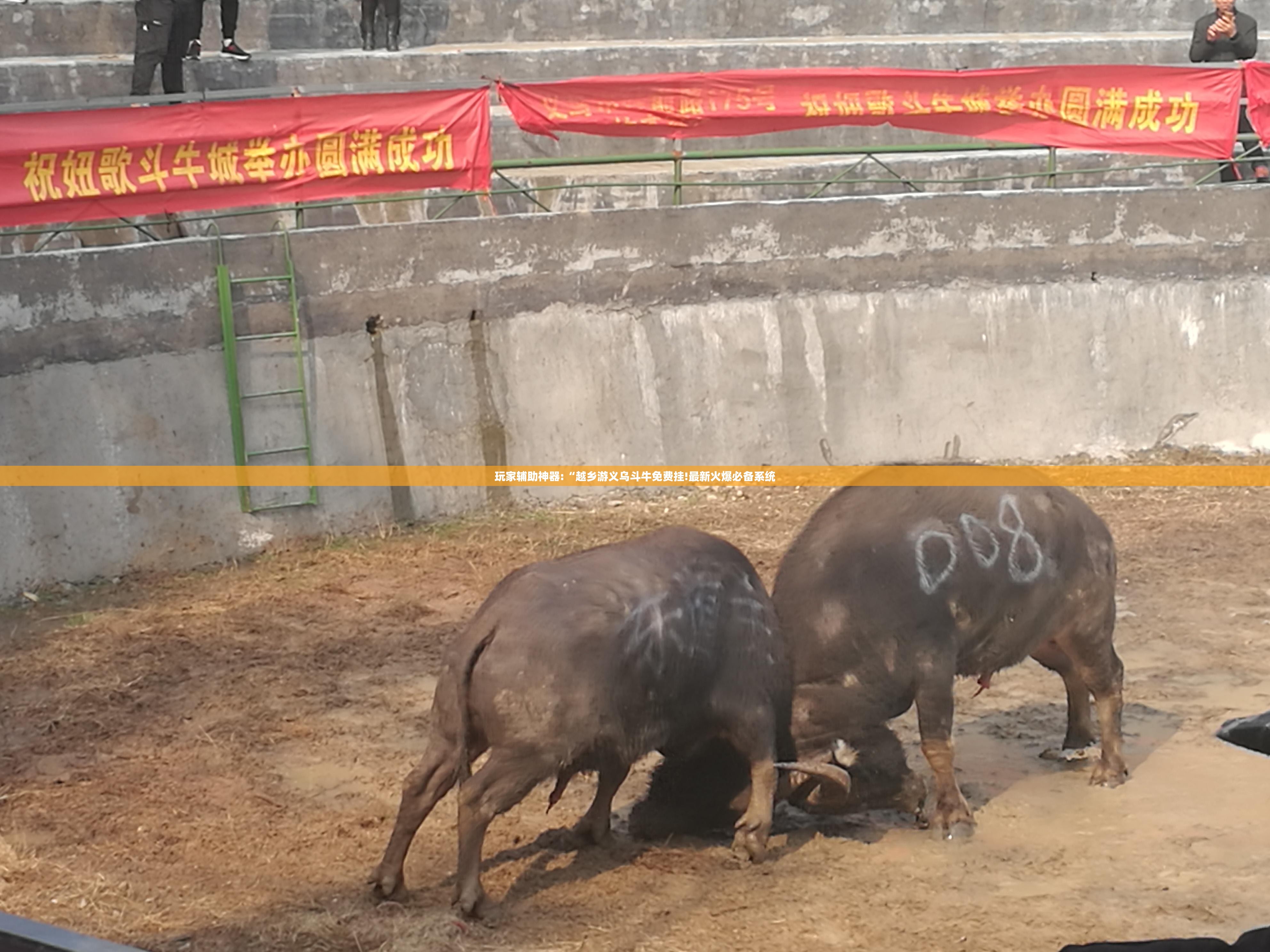 玩家辅助神器:“越乡游义乌斗牛免费挂!最新火爆必备系统