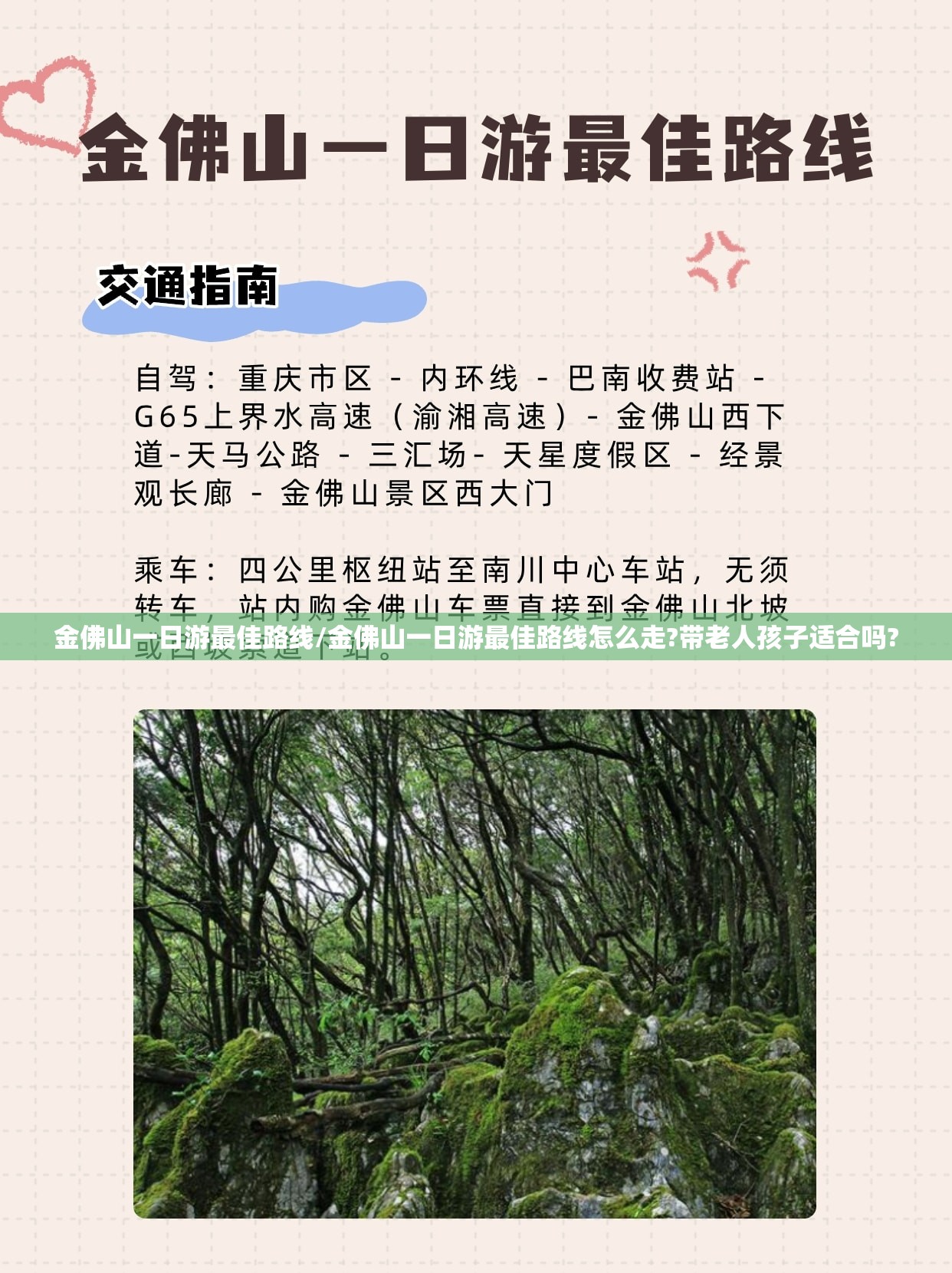 金佛山一日游最佳路线/金佛山一日游最佳路线怎么走?带老人孩子适合吗?