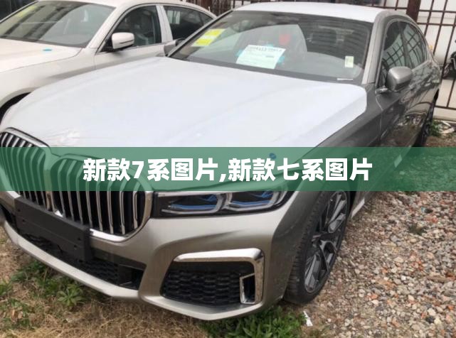 科普一下紫锦游戏城可以开挂吗(辅助神器)开挂详细教程