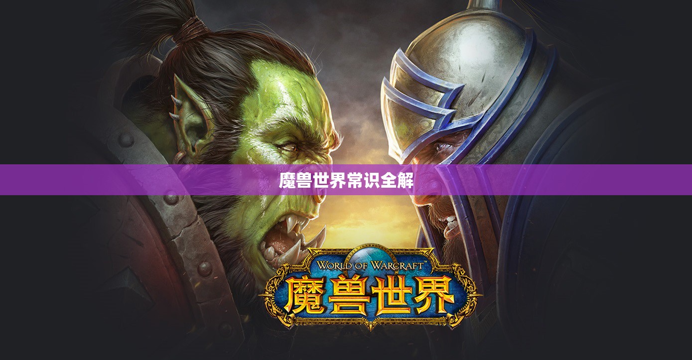 魔兽世界常识全解 魔兽世界常识全解