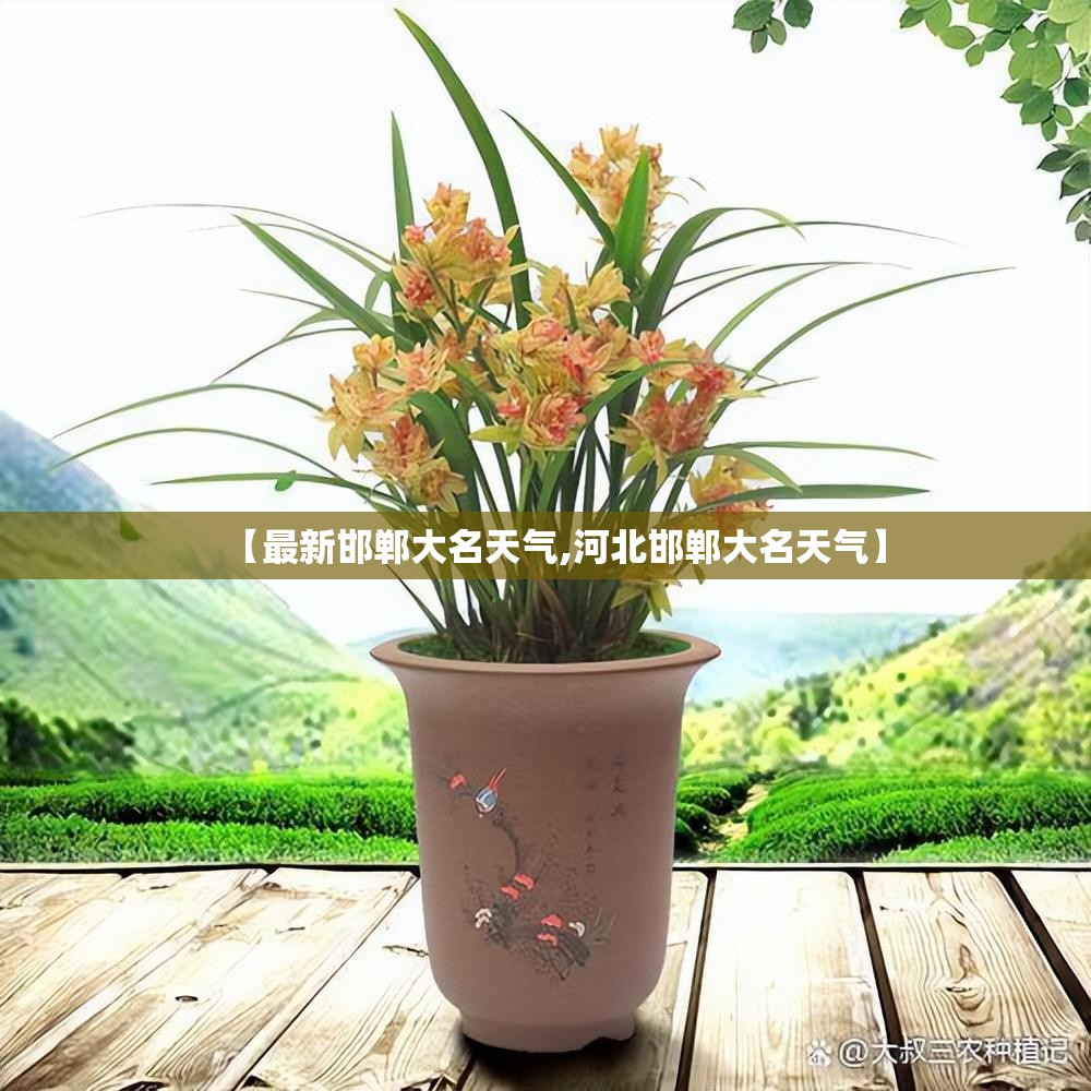 【最新邯郸大名天气,河北邯郸大名天气】