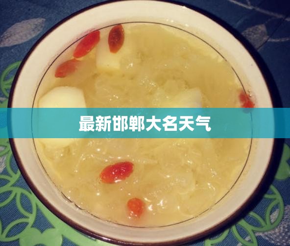 【最新邯郸大名天气,河北邯郸大名天气】
