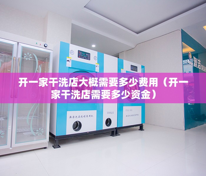 开一家干洗店大概需要多少费用（开一家干洗店需要多少资金）