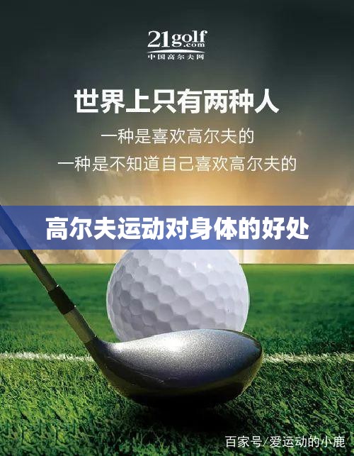 高尔夫运动对身体的好处（高尔夫运动对自身有哪些好处）