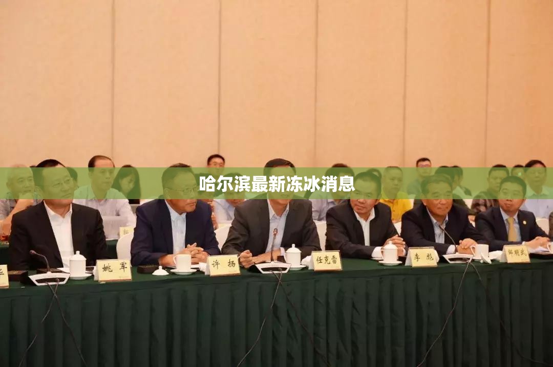 哈尔滨最新冻冰消息/哈尔滨 冷