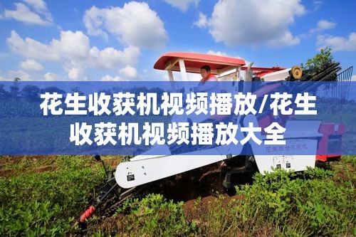 南阳瓜子二手车直卖网,南阳二手车平台