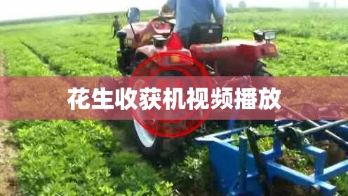 花生收获机视频播放/花生收获机视频播放大全