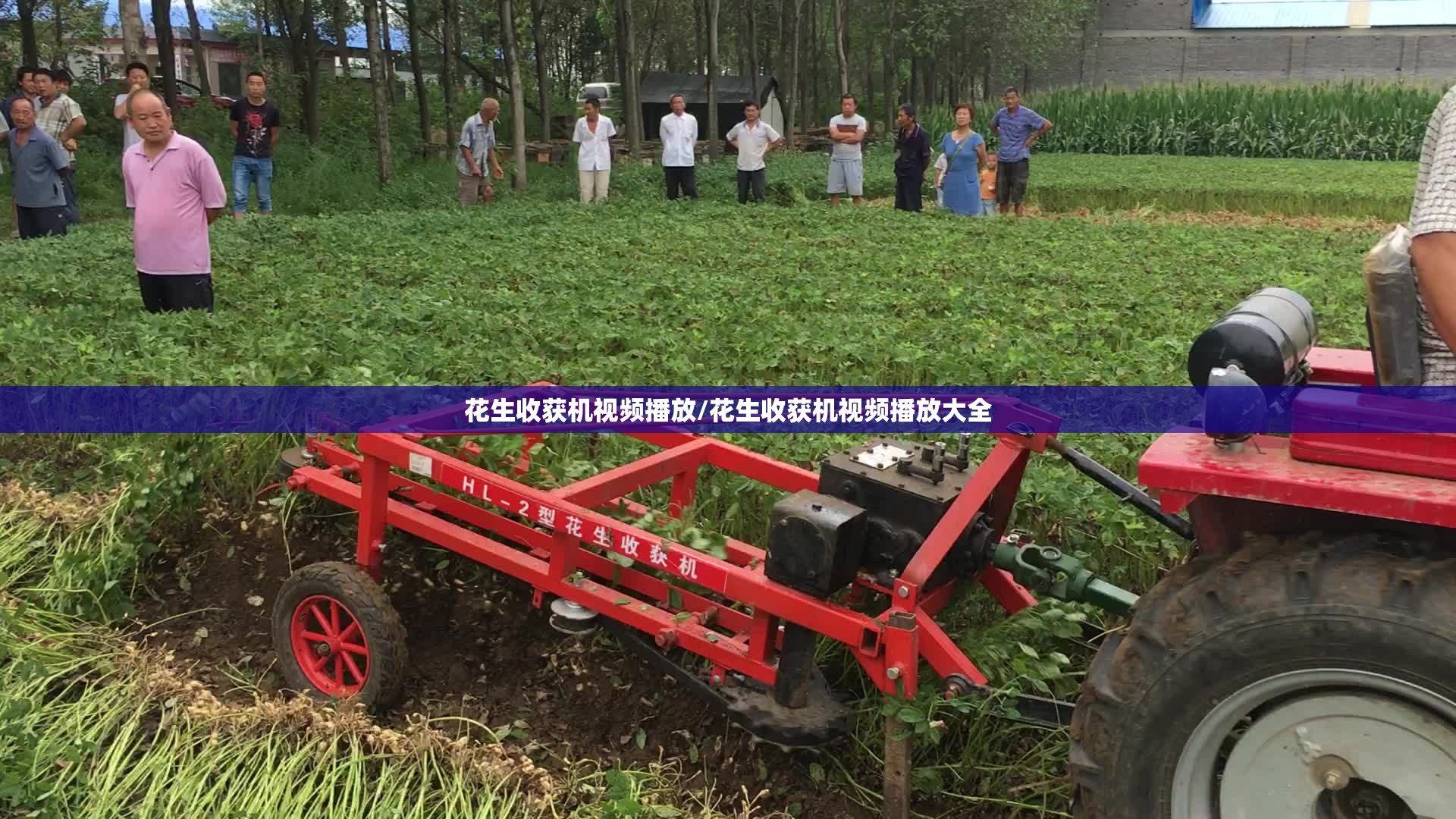 花生收获机视频播放/花生收获机视频播放大全