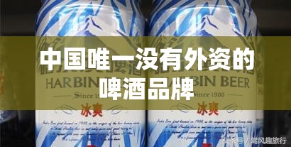 【中国唯一没有外资的啤酒品牌/中国哪些啤酒是外资控制】