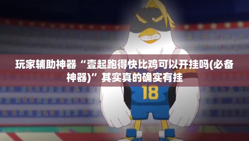 辅助最新信息“拱趴十三水怎么提高胜率”详细分享装挂步骤