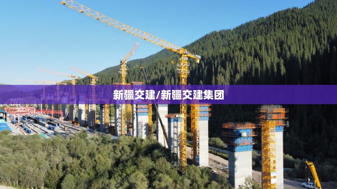 新疆交建/新疆交建集团