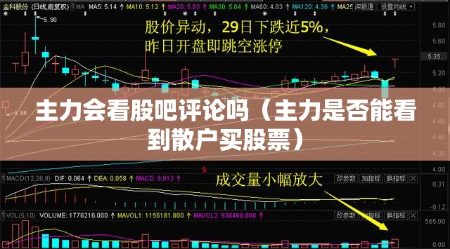 主力会看股吧评论吗（主力是否能看到散户买股票）